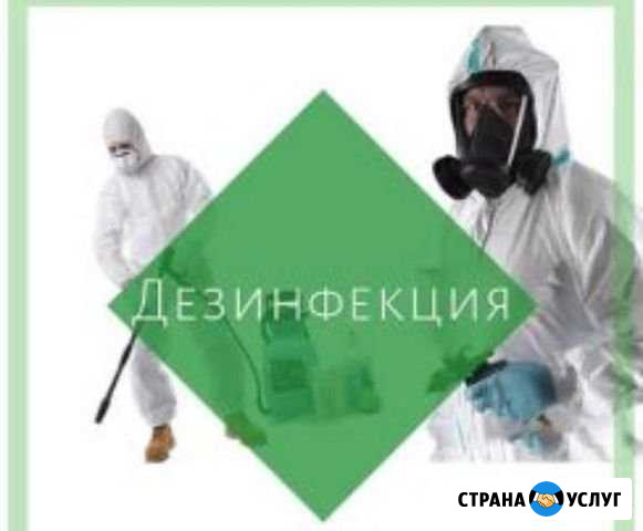 Уничтожение тараканов и клопов, запахов Щекино - изображение 1