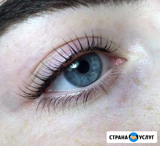 Ламинирование ресниц Орёл - изображение 1
