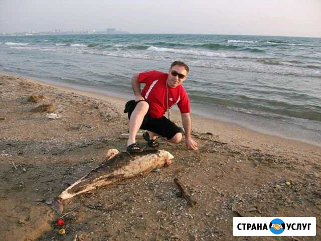 Собеседник на час Самара - изображение 1