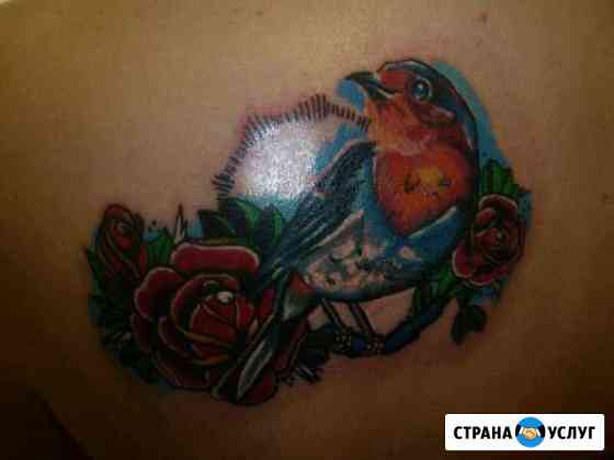 Требуются модели на тату Новосибирск