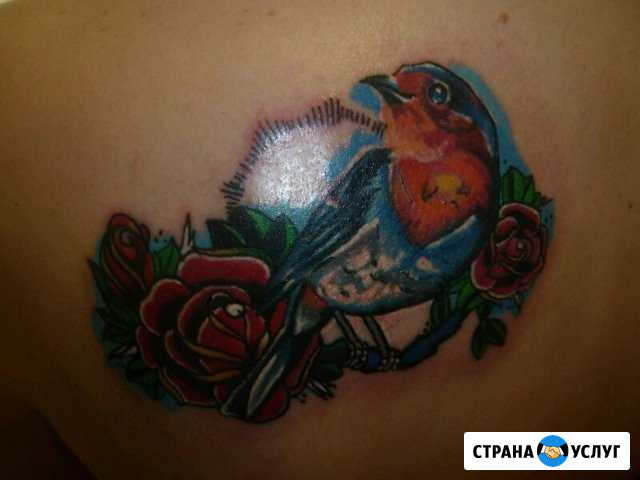 Требуются модели на тату Новосибирск - изображение 1