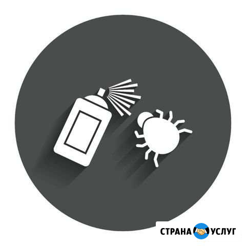 Уничтожение клопов, тараканов, частный дезинфектор Мурино - изображение 1