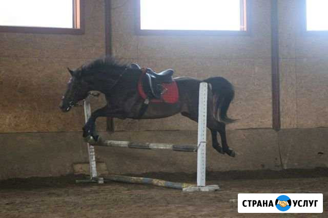 Обучение верхом на лошади Таруса - изображение 1