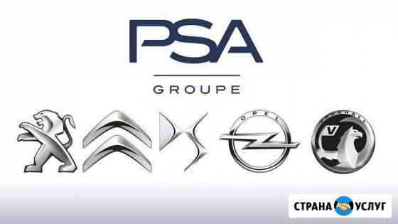 Диагностика, то и ремонт Peugeot, Citroen, Opel Красноярск