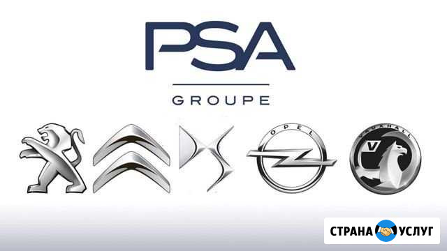 Диагностика, то и ремонт Peugeot, Citroen, Opel Красноярск - изображение 1