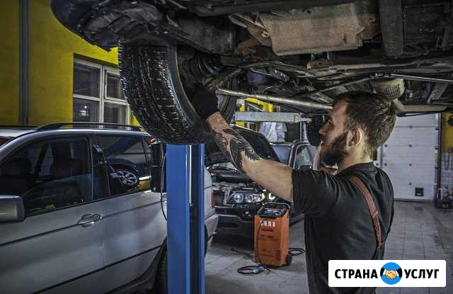Диагностика и ремонт дизельных автомобилей Москва - изображение 1