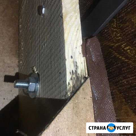 Уничтожение тараканов, уничтожение клопов Красногорск - изображение 1