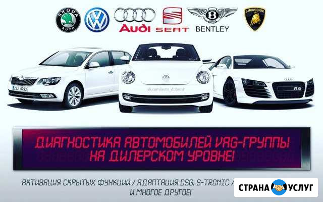 Диагностика, кодирование, прошивка Audi, VW, Skoda Ижевск - изображение 1