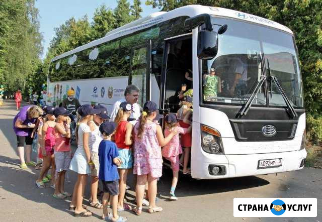 Аренда автобусоов 30-50 мест Петрозаводск - изображение 1