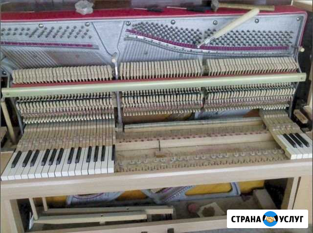 Настройка пианино / настройщик пианино/фортепиано Владимир - изображение 1