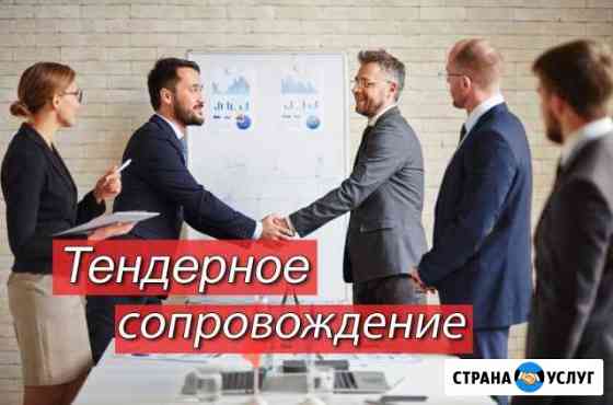 Сопровождение тендеров под ключ любой сложности по Кемерово