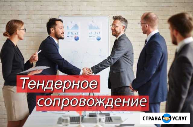 Сопровождение тендеров под ключ любой сложности по Кемерово - изображение 1