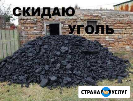 Закидка угля, копка ям Славгород - изображение 1