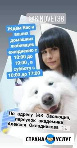 Ветеринарный врач Иркутск - изображение 1