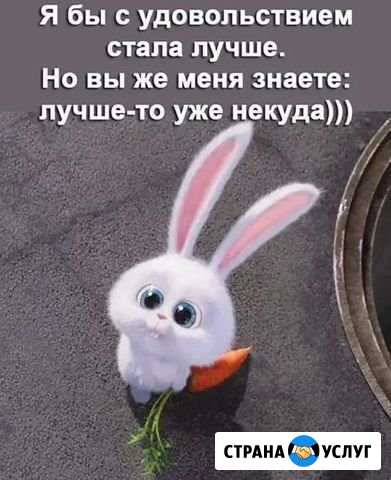 Услуги Ильский - изображение 1