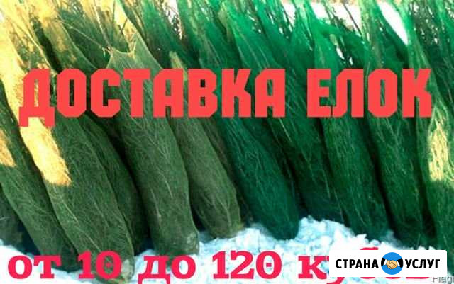 Перевозка Ёлок. Будки от 15 до 120 кубов. Доставка Дальнегорск - изображение 1