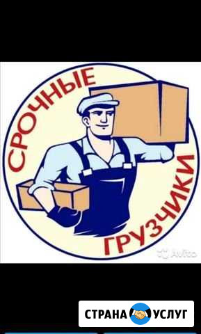 Грузчики, разнорабочие Новосибирск - изображение 1