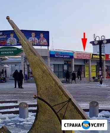 Цитрус - самый быстрый ремонт в городе. ремонт тех Белгород