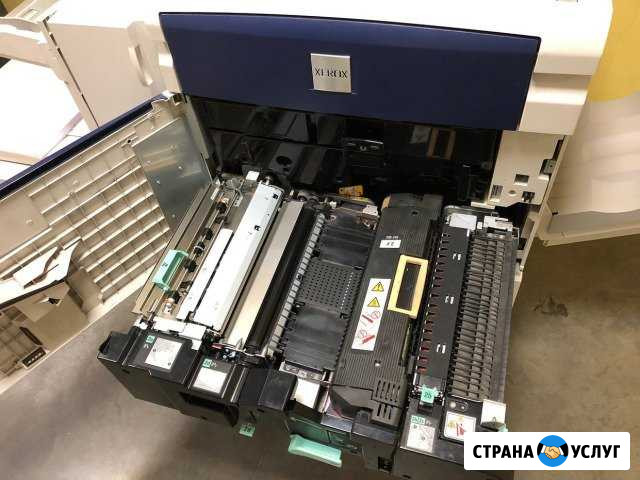 Профессиональное сервисное обслуживание мфу Xerox Москва - изображение 1