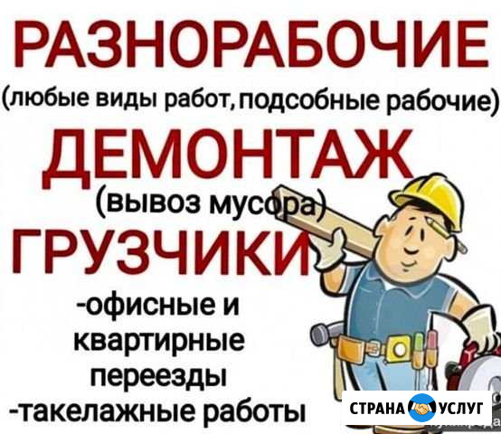 Грузчики,разнорабочие Бийск - изображение 1
