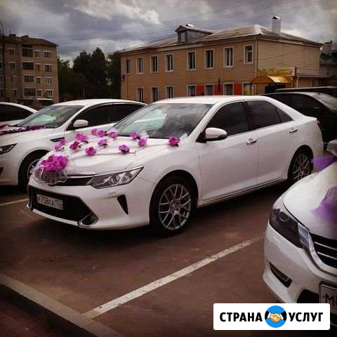 Авто для свадьбы Первомайск - изображение 1
