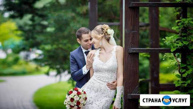 Фото и видео (свадьбы - мероприятия) Губкин - изображение 1