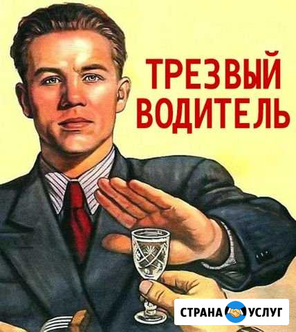 Трезвый водитель Ульяновск - изображение 1