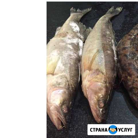 Продукты питания Березники - изображение 1