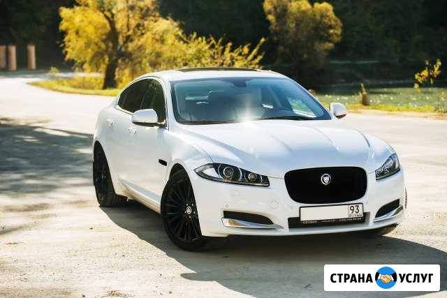 Прокат авто на свадьбу Jaguar XF (Ягуар) Новороссийск - изображение 1