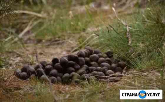 Лосиный помет-навоз Москва