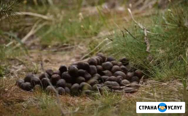 Лосиный помет-навоз Москва - изображение 1