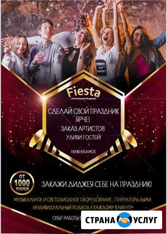 Организация праздника Нижнекамск - изображение 1