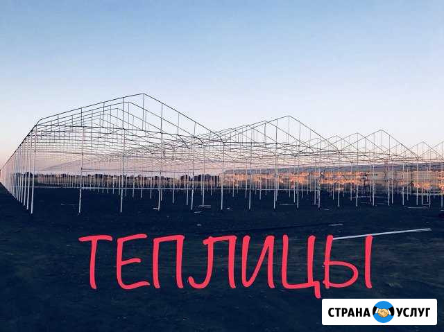 Строительство Теплиц и парников Махачкала - изображение 1