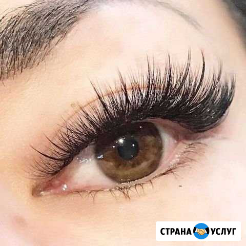 Ресницы Андреевка - изображение 1