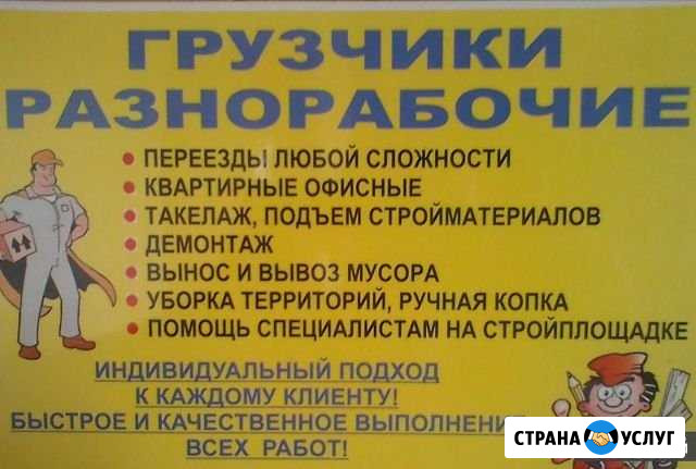 Грузчики, Разнорабочие Зеленогорский - изображение 1