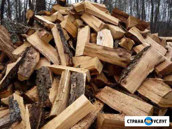 Дрова любых видов с доставкой Гатчина