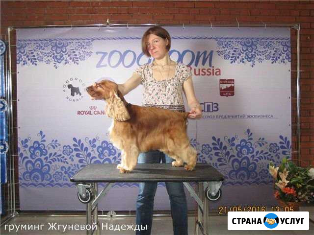 Стрижка собак Москва - изображение 1