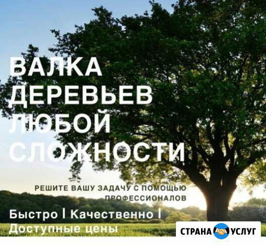 Удаление,спил аварийных деревьев любой сложности Всеволожск - изображение 1