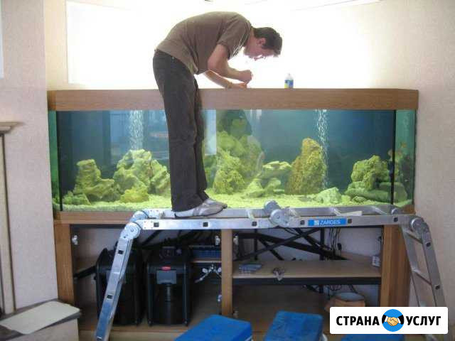 Обслуживание и дизайн аквариумов (профессионально) Новосибирск - изображение 1