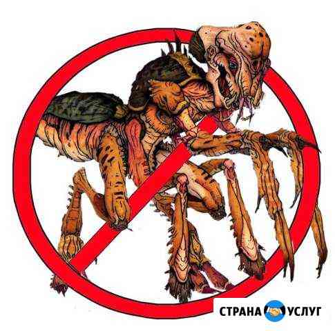 Дезинсекция, дератизация Год гарантии Красноярск