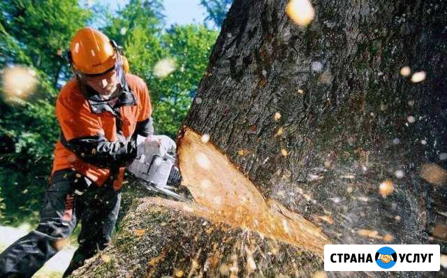 Покос травы, спил деревьев Грязи - изображение 1