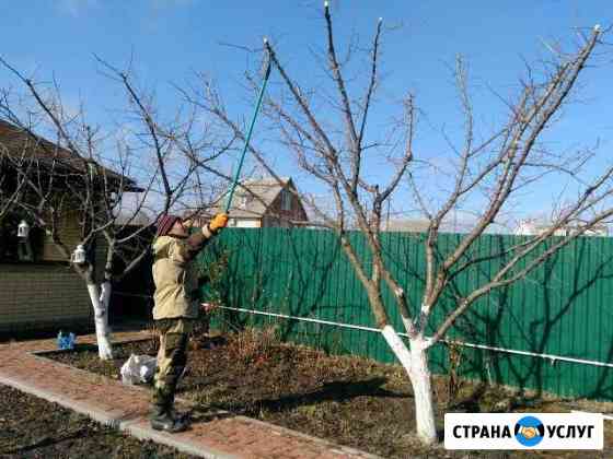Обрезка плод деревьев, хвойников, дек.Опрыскивание Ростов-на-Дону