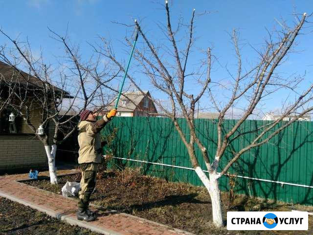 Обрезка плод деревьев, хвойников, дек.Опрыскивание Ростов-на-Дону - изображение 1