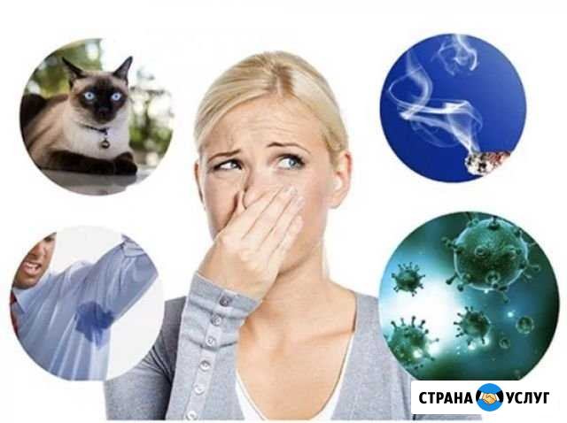 Уничтожение запахов, плесени, насекомых Дюртюли - изображение 1