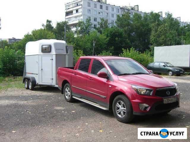 Перевозка лошадей,коров,верблюдов,страусов и д.р Москва - изображение 1