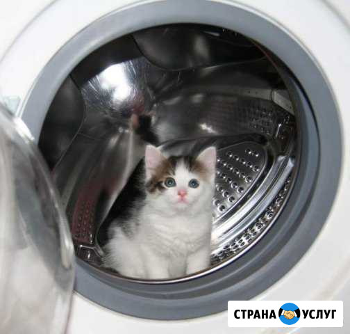 Ремонт Стиральных и посудомоечных машин Москва - изображение 1