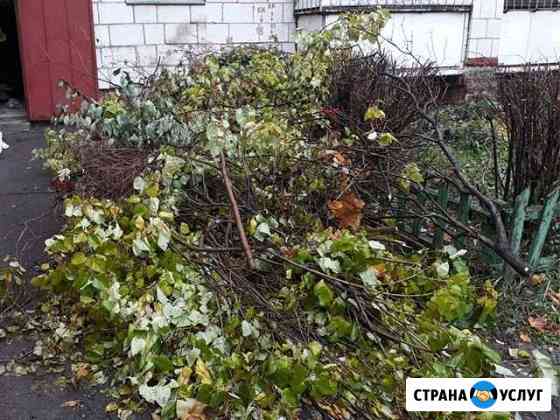 Вывоз веток, вывоз старых полов и т.п Кострома