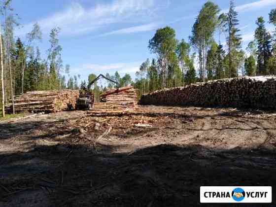 Вывозка с делянок, перевозка круглого леса, доски Вологда