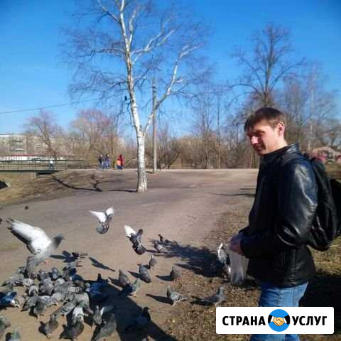 Муж на час Колпино - изображение 1