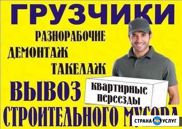 Грузчики. Разнорабочие. Уборка мусора. Землекопы Сызрань - изображение 1